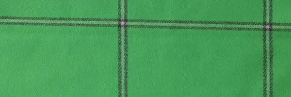 Green Checkered Tablecloth Background Close Green Squares Fabric — Stock fotografie