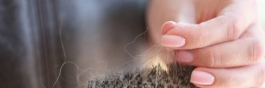 Close-up hair loss, comb with hair in female hands. Woman losing hair concept.