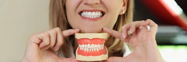 Dentist Smiles Shows Plastic Jaws Her Hands Woman Stomatologist Holding — Stock fotografie