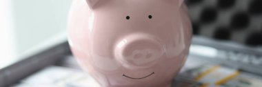 Pink piggy bank on many packs of dollar bills close-up. Saving money, winning, business and investment success.