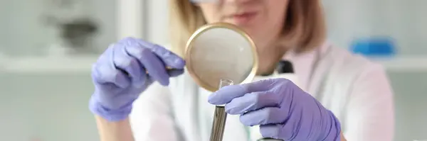 Woman Looks Magnifier Test Tube Sample Close Chemical Analysis Laboratory — Zdjęcie stockowe