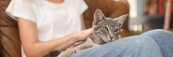 Close Female Sitting Sofa Petting Grey Cat Home Pets Animal — Stockfoto