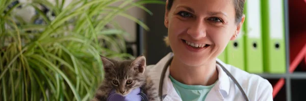 Smiling Female Veterinarian Holding Small Kitten Veterinary Clinic Concept Veterinary — Stock Photo, Image