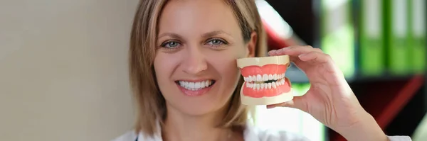 Female Orthodontist Smiles Shows Artificial Jaws Concept Dentistry Prosthetics — Stock Photo, Image
