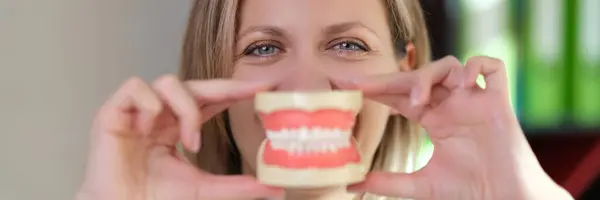 Tandläkaren Håller Käkarna Med Konstgjorda Tänder Framför Munnen Stomatologi Och — Stockfoto