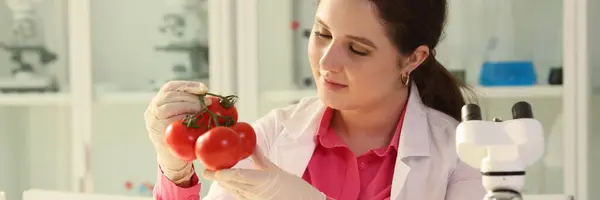 Woman holds fresh tomatoes in hands sitting at table near glassware with liquid and microscope. Specialist checks organic vegetables in laboratory
