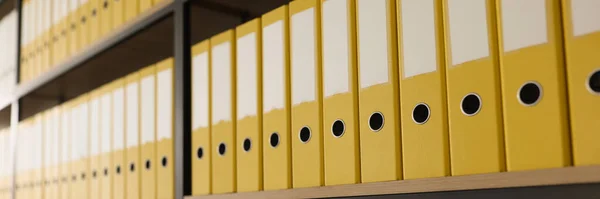 Żółte Teczki Materiałami Dokumentami Umieszczone Długich Rzędach Półkach Zorganizowana Struktura Obrazy Stockowe bez tantiem