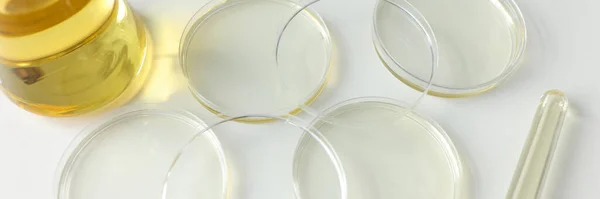 Petri dishes and containers for collecting samples of body fluids for laboratory research. Jar and test tubes for medical tests on white table