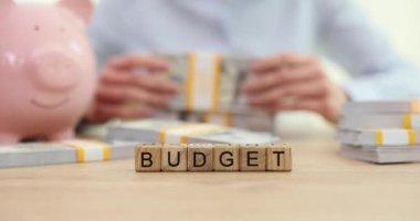 Bütçeli domuzcuk bankacı kadın yığınla para sayıyor. Ekonomik giderler ve gelir planlaması