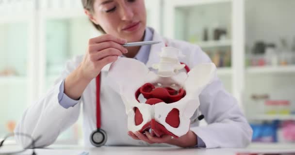 Γυναικολόγος Δείχνει Οστά Της Γυναικείας Πυέλου Στην Κλινική Λοιμώδης Νόσος — Αρχείο Βίντεο