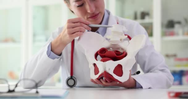 Докторська Модель Анатомії Кульшового Суглоба Тазової Кістки Клініці Біль Тазових — стокове відео