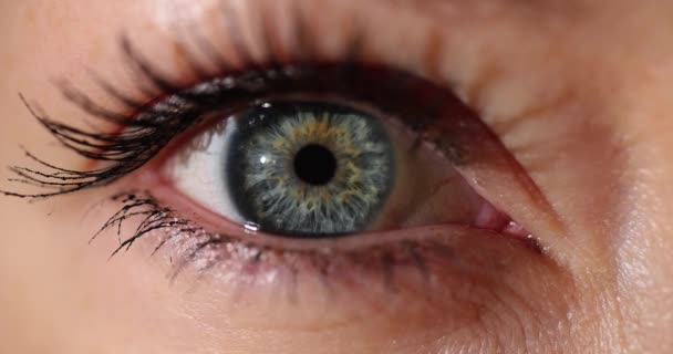 女性のエメラルドブルーの目を閉じます 眼科医と完璧なビジョン — ストック動画