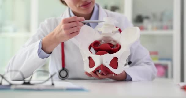 Anatomia Articulação Pélvica Detalhes Explicados Pelo Médico Problema Dor Pelve — Vídeo de Stock