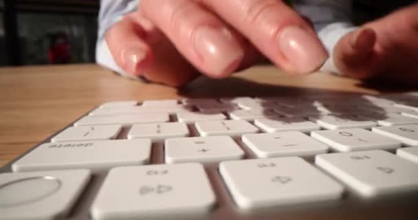 Tangan Wanita Pada Keyboard Komputer Mengetik Teks Pendidikan Dan Profesi — Stok Video