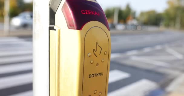 Kadının Eli Sarı Düğmeye Basıyor Yaya Geçidinde Trafik Işığını Açıyor — Stok video