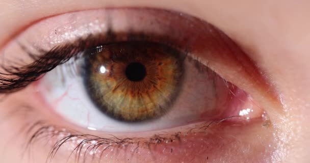棕色女性人类眼睛的特写 远视近视散光 — 图库视频影像