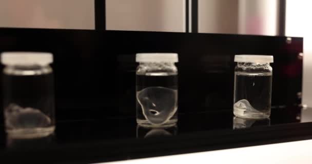 在研究实验室或科学博物馆的溶液中透明的玻璃器官或物质 实验室人工器官的发展 — 图库视频影像