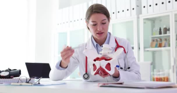 Γιατρός Γυναικολόγος Κρατώντας Γυναικεία Λεκάνη Μυϊκό Μοντέλο Γυναικολογία Και Ιατρική — Αρχείο Βίντεο