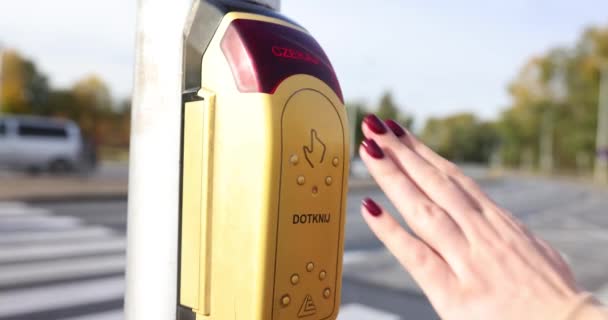 Polonya Trafik Işığı Yaya Geçidini Açmak Için Kadının Eli Sarı — Stok video