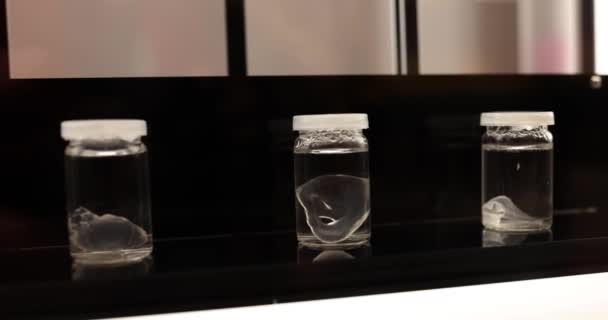 在研究实验室或科学博物馆的溶液中 透明的器官或玻璃中的皮肤 刺激细胞再生 — 图库视频影像