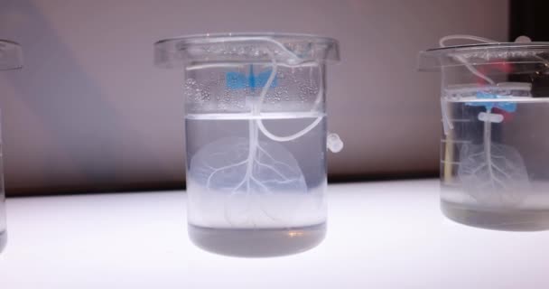 Hoja Transparente Vidrio Solución Laboratorio Investigación Museo Desarrollo Piel Artificial — Vídeo de stock