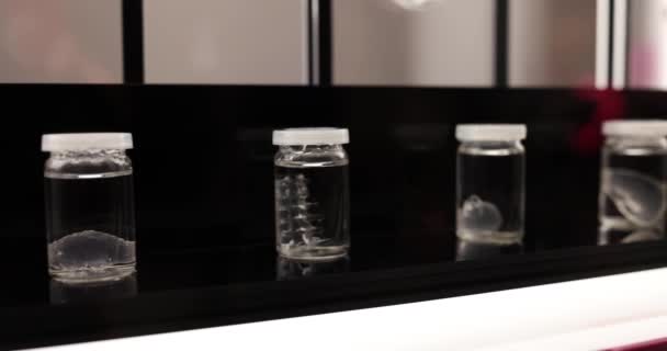 Prover Klara Organ Förvaras Burkar För Laboratorieexperiment Senaste Mikroskopiska Endoskopiska — Stockvideo