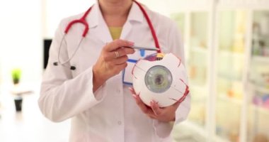 Oftalmolog el klinikteki insan modelinin anatomisini gösteriyor. Tıp öğrencilerine öğretmek için organ sistemi olan insan vücudunun anatomisi
