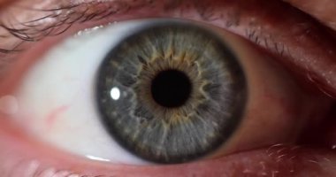 Hastanedeki göz doktoruyla randevusu olan çok renkli irisli bir insan gözü. Göz küresi ile ilgili profesyonel tedavi sorunları olan aylık kontroller. Vücudun görünürlük sağlayan kısmı