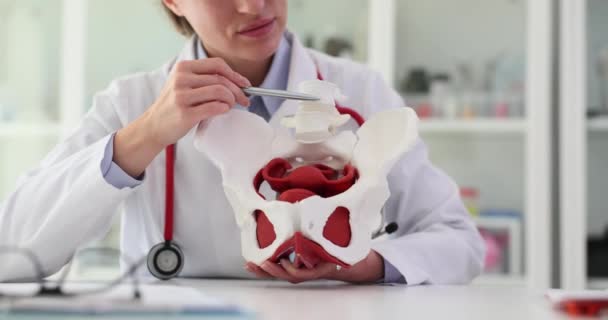 Mujer Médico Uniforme Trabajo Muestra Estructura Pelvis Humana Modelo Artificial — Vídeo de stock