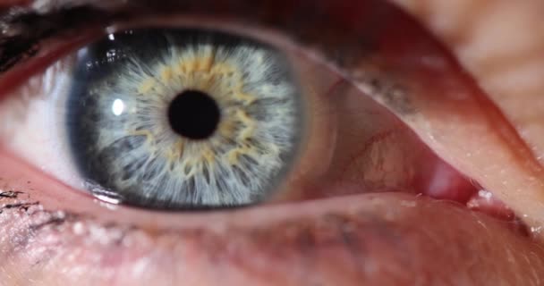 Bir Gözü Açık Mavi Gri Renkli Bir Kadın Görme Kontrolü — Stok video