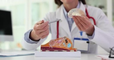 Mammolog yeni silikon göğüs implantı tutuyor. Plastik düzeltme ve göğüs büyütme