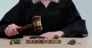 Yargıç Tokmak ve kuru marihuana masaya esrar bırakıyor. Yargıç tokmak ve marihuana mevzuatını yumrukluyor