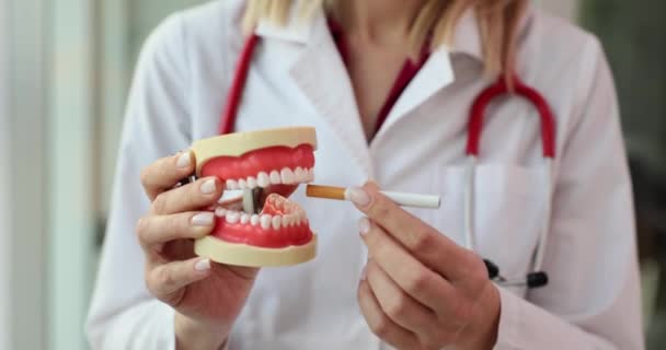 顎のプラスチックモデルと歯科医の手のタバコ 喫煙中毒と歯の損傷 — ストック動画
