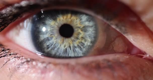 Macro Beautiful Female Blue Eye Closeup Movie Slow Motion Laser — Stock Video