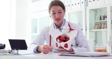 Doktor jinekolog kadın leğen kemiğinin 4K filminin anatomik modelinde yapısını gösteriyor. Tıp eğitimi kadın doğum ve jinekoloji konsepti
