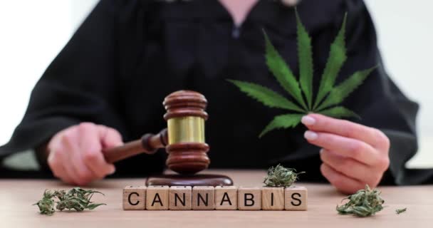 判官在木制立方体上的单词大麻的背景下 用木槌敲4K电影慢动作 大麻种植和销售的合法化概念 — 图库视频影像