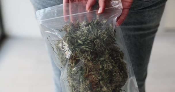 Női Kéz Bilincsben Kezében Egy Csomag Cannabis Közelkép Film Lassított — Stock videók