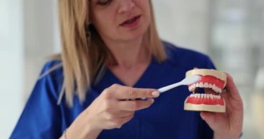 Dentist showing how to properly brush teeth using artificial jaw closeup 4k movie slow motion. Daily dental care concept