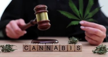 Yargıç Tokmak 'la mahkemede kenevir yaprağı ya da marihuana yaprağı. Hukuk ve yargı