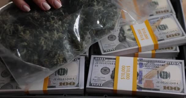 世界上合法和非法大麻的合法性 全球销售额 大麻业务概念 — 图库视频影像