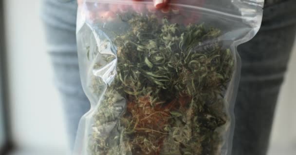 Femme Tenant Paquet Marijuana Menottes Gros Plan Drogue Illégale — Video