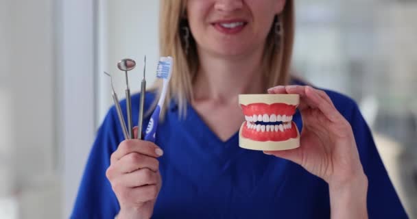 Dentista Com Modelo Dentes Mandibulares Consultório Odontológico Clínica Odontológica Profissional — Vídeo de Stock
