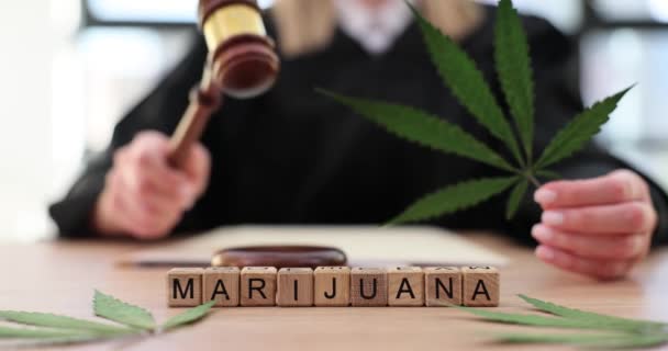 Pianta Cannabis Giudica Gavel Aula Arresto Dell Uso Coltivazione Cannabis — Video Stock