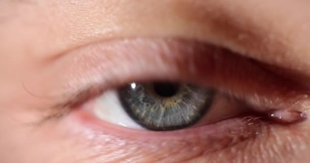 灰色の目は穏やかさと静けさの感覚を示しています 人の磁気的な視線は悲しみのマクロの瞬間の無言の感情を表現します — ストック動画