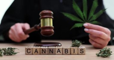 Hakimin önünde tahta küplerden yapılmış bir kelime. Elinde tokmak ve ağır çekimde taze marihuana yaprağı var. Bitkisel uyuşturucu kavramının yasallaştırılması