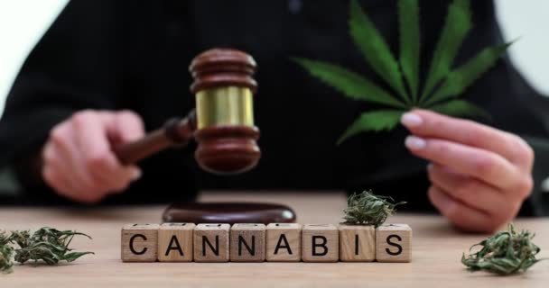 Palabra Cannabis Hecho Cubos Madera Delante Del Juez Con Mazo — Vídeos de Stock
