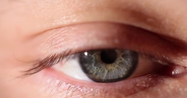 Mavi Gözlü Bir Adam Kadın Kameraya Yakından Bakıyor Makro Fotoğraf — Stok video