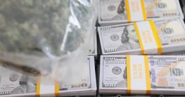 Kenevir, kelepçe ve milyon dolarlık yakın çekim. Esrar karaborsasının yıllık cirosu