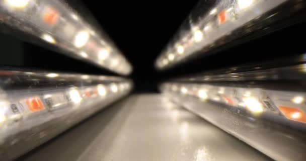 Светодиодный Фитоламп Растений Прозрачного Спектра Советы Выбору Осветительного Оборудования — стоковое видео