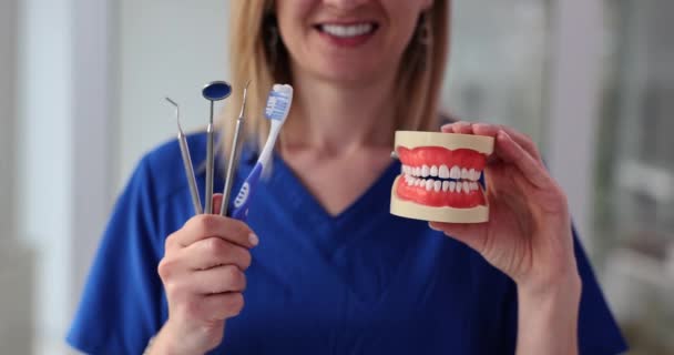 Стоматолог Моделью Челюстных Зубов Инструментами Стоматологическом Кабинете Услуги Профессиональной Стоматологической — стоковое видео